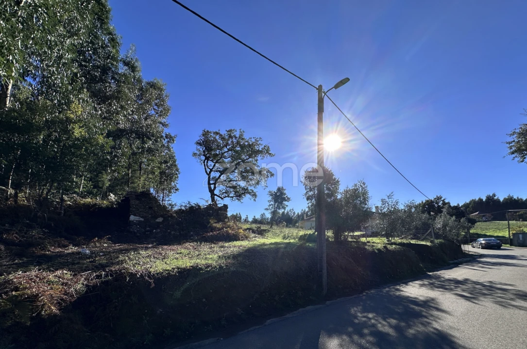 Terreno para Venda em Figueiró dos Vinhos e Bairradas Foto 9