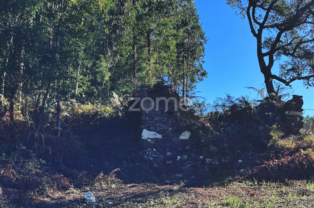 Terreno para Venda em Figueiró dos Vinhos e Bairradas Foto 10