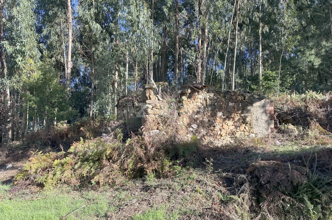 Terreno para Venda em Figueiró dos Vinhos e Bairradas Foto 11