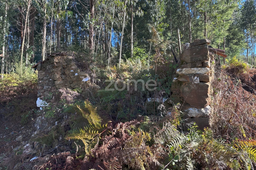 Terreno para Venda em Figueiró dos Vinhos e Bairradas Foto 12