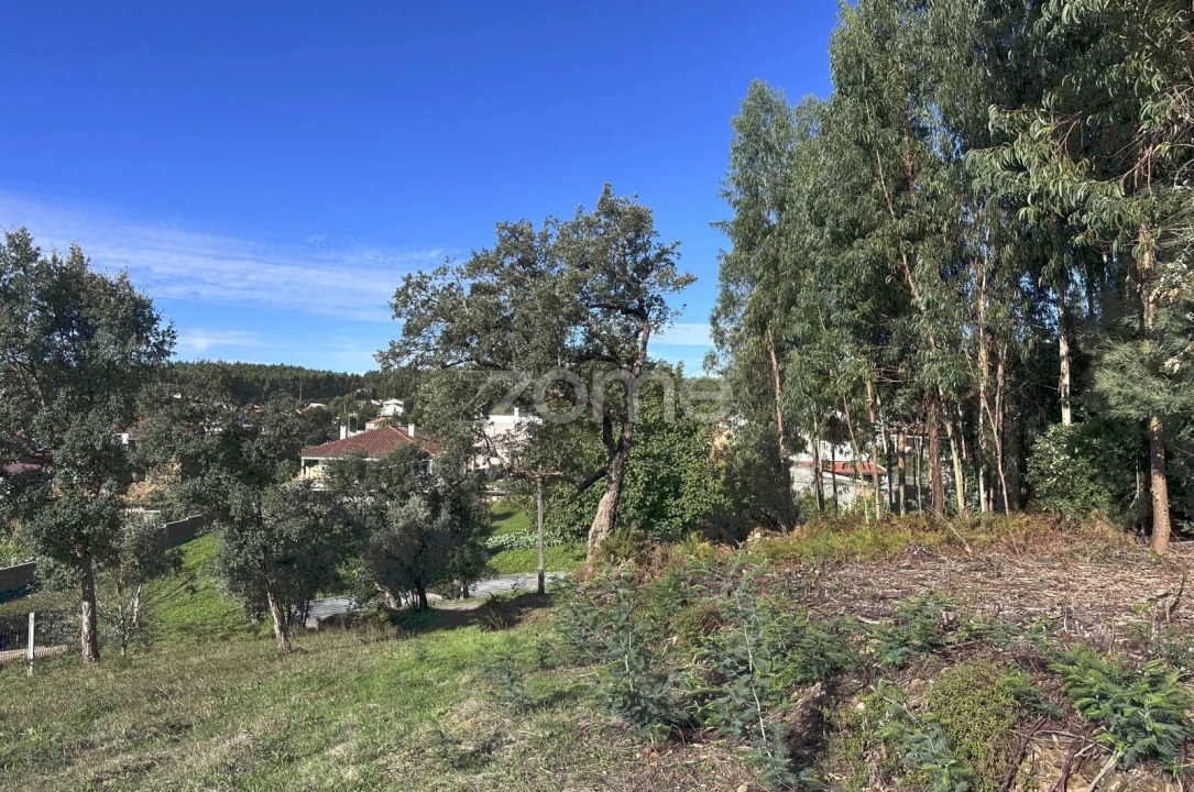 Terreno para Venda em Figueiró dos Vinhos e Bairradas Foto 16
