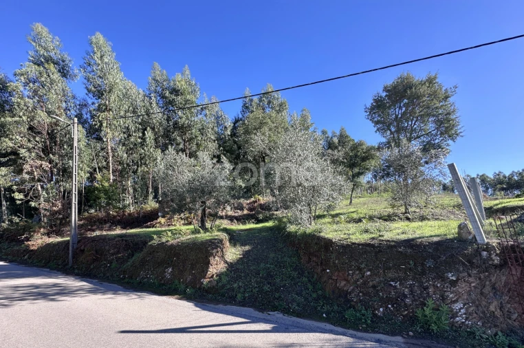 Terreno para Venda em Figueiró dos Vinhos e Bairradas Foto 8