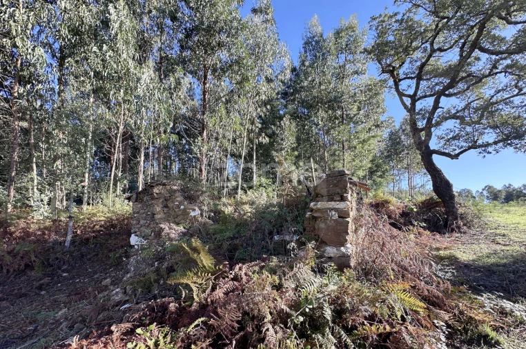 Terreno para Venda em Figueiró dos Vinhos e Bairradas Foto 13