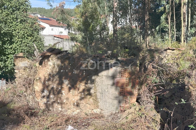 Terreno para Venda em Figueiró dos Vinhos e Bairradas Foto 19
