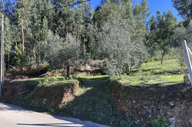 Terreno para Venda em Figueiró dos Vinhos e Bairradas Foto 20