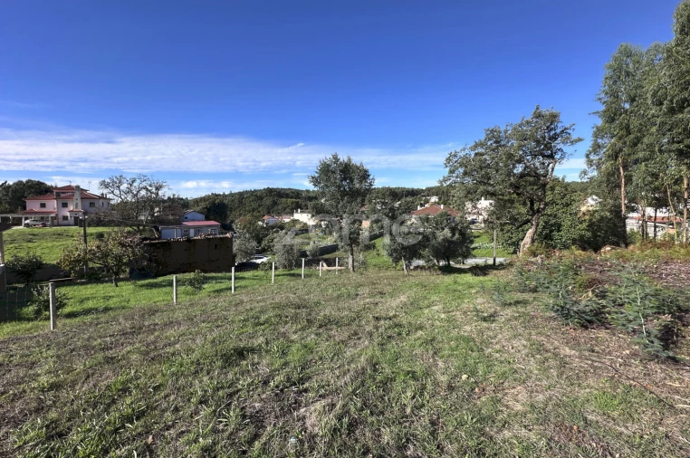 Terreno para Venda em Figueiró dos Vinhos e Bairradas Foto 3