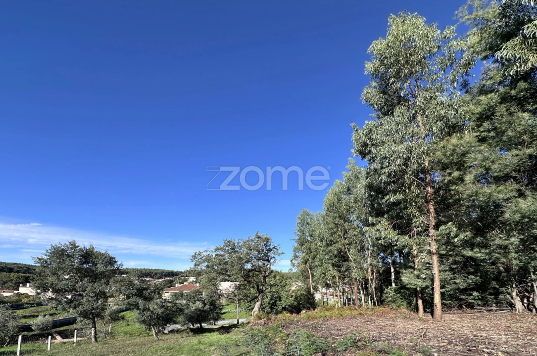 Terreno para Venda em Figueiró dos Vinhos e Bairradas Foto 5