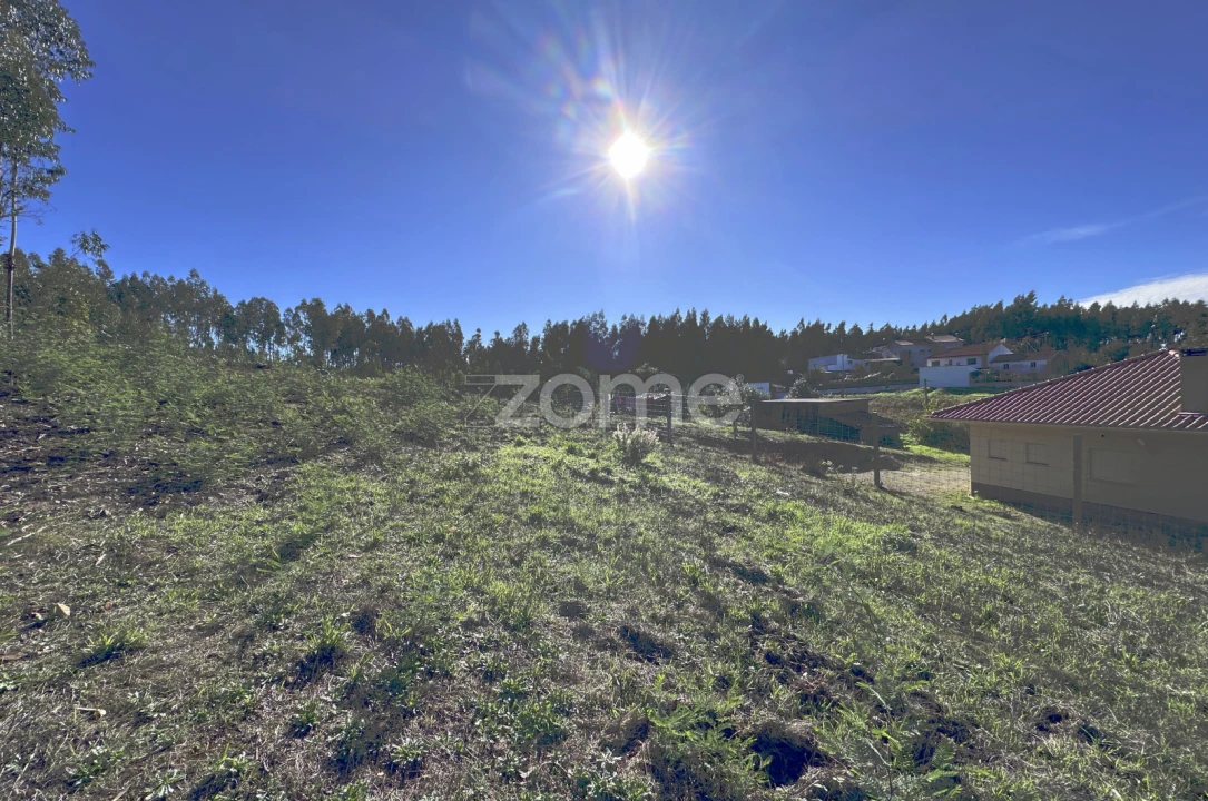 Terreno para Venda em Figueiró dos Vinhos e Bairradas Foto 6