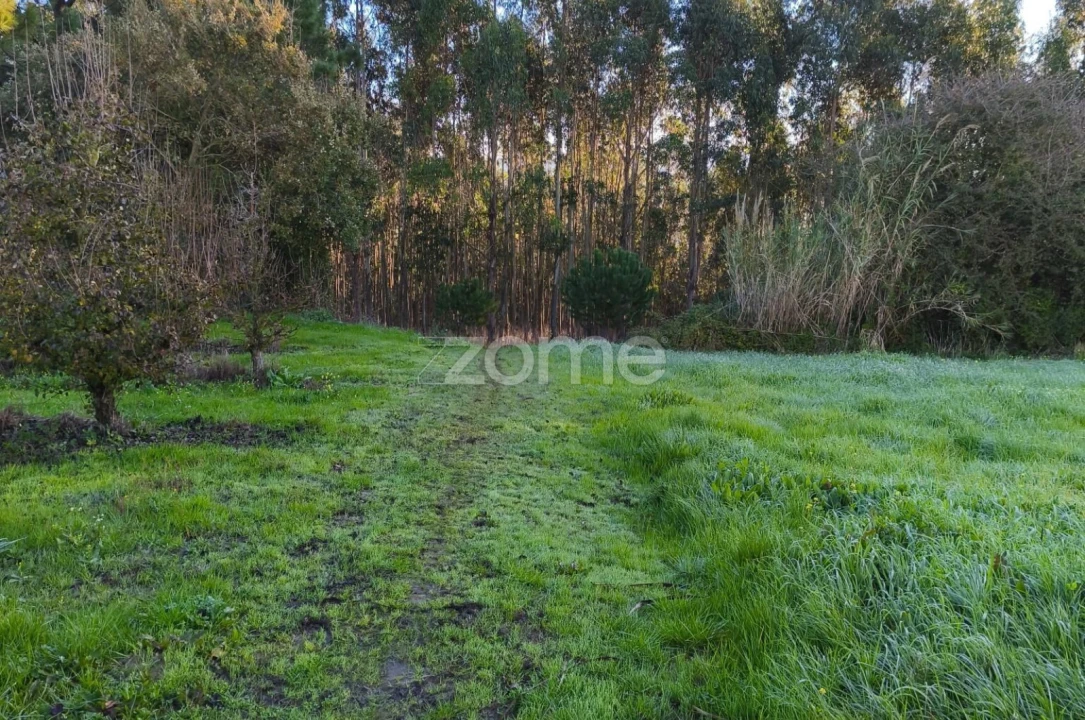 Terreno para Venda em Barrio Foto 22