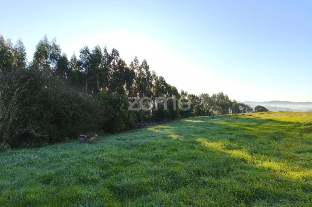Terreno para Venda em Barrio Foto 24
