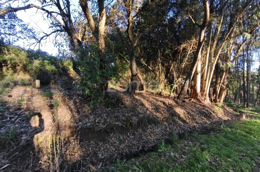 Terreno para Venda em Barrio Foto 4