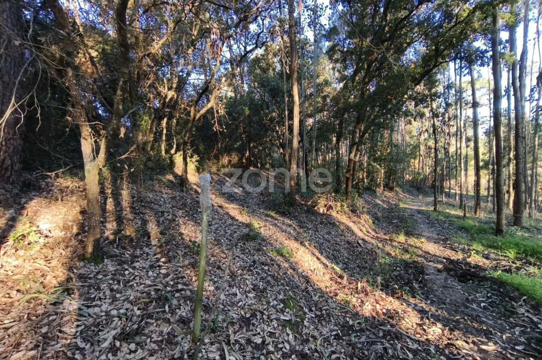 Terreno para Venda em Barrio Foto 7
