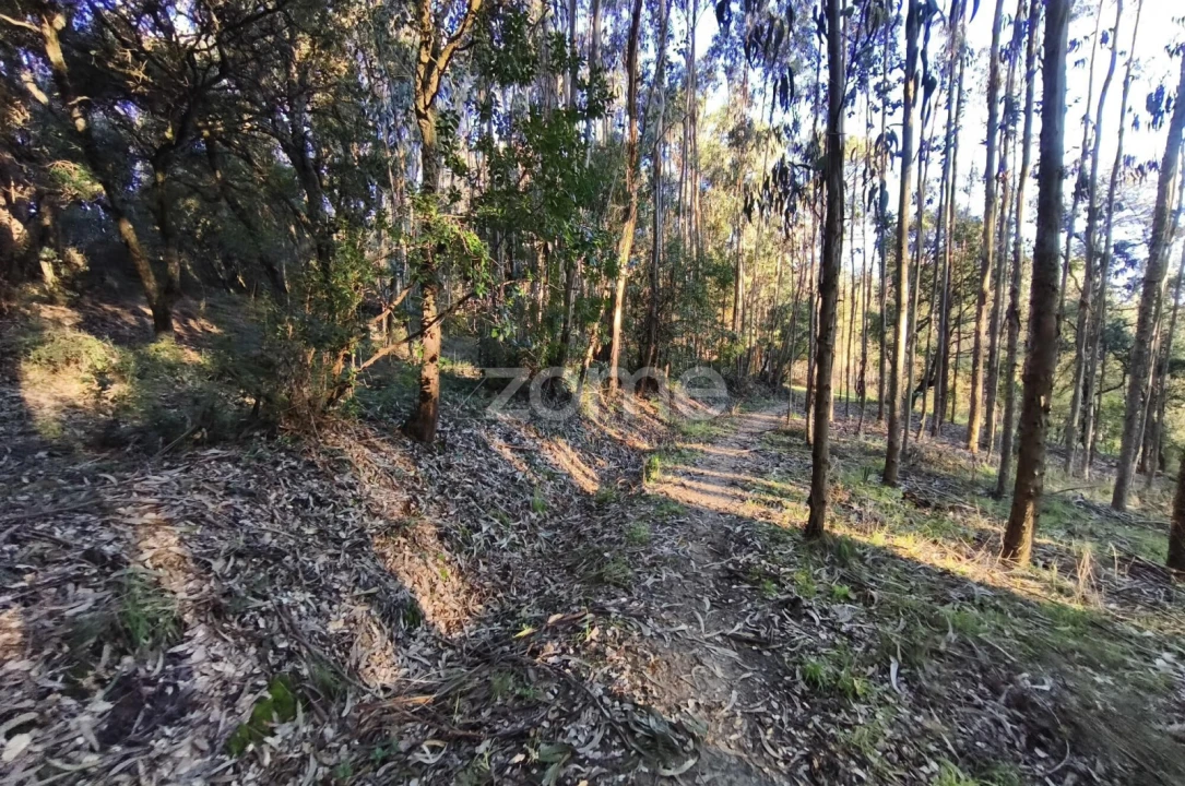 Terreno para Venda em Barrio Foto 8