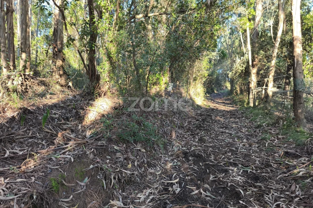 Terreno para Venda em Barrio Foto 21