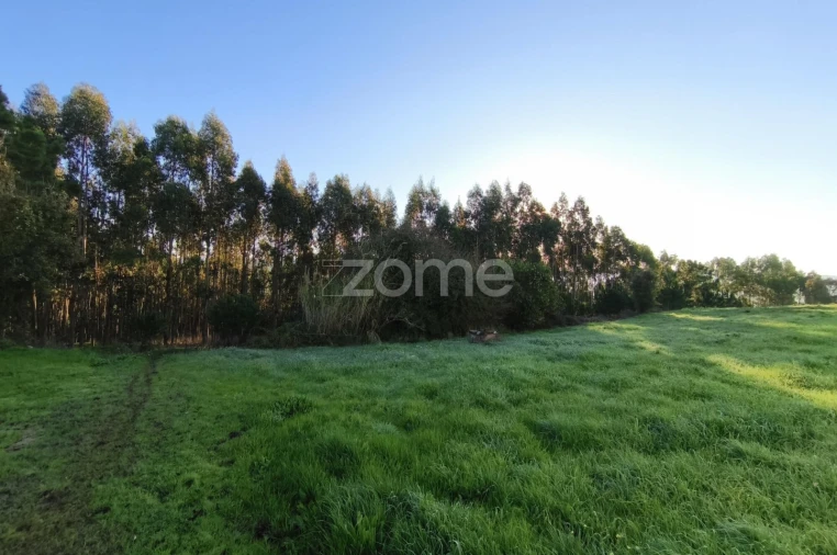 Terreno para Venda em Barrio Foto 23