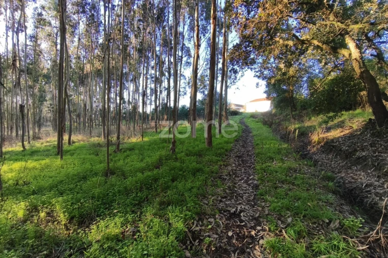 Terreno para Venda em Barrio