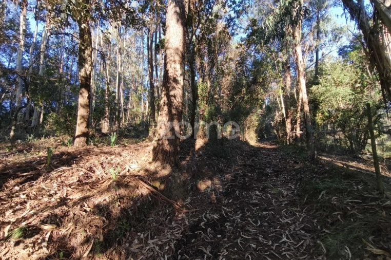 Terreno para Venda em Barrio Foto 11