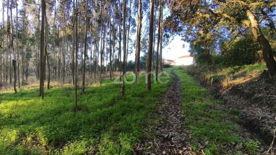 Terreno para Venda em Barrio