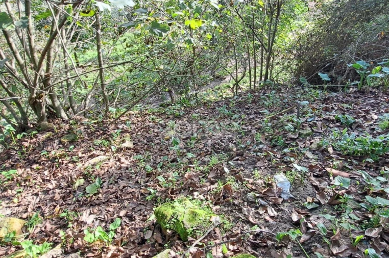 Moradia T3 para Venda em Almalagues Foto 42