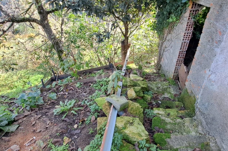 Moradia T3 para Venda em Almalagues Foto 40