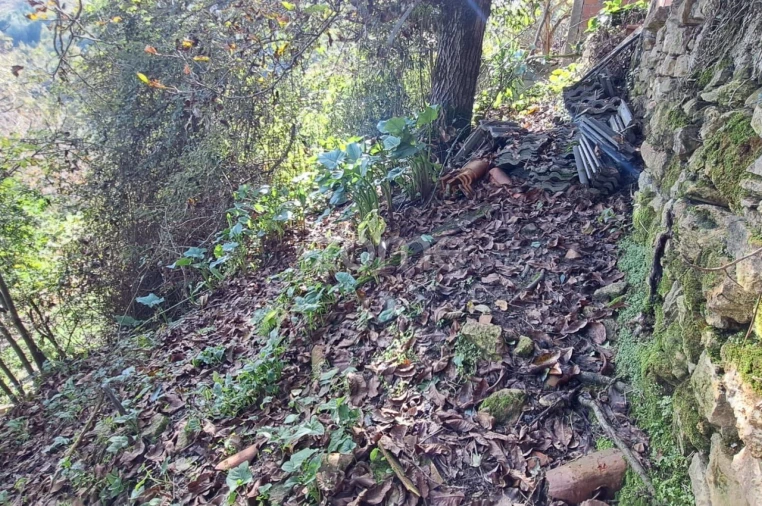 Moradia T3 para Venda em Almalagues Foto 41