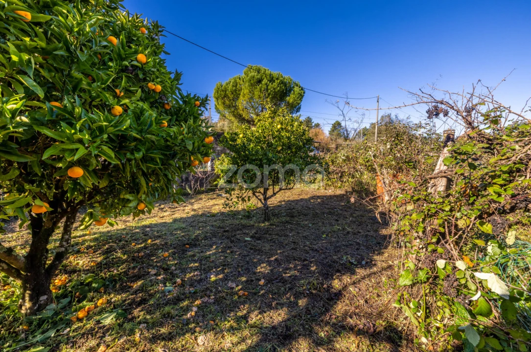 Moradia T1 para Venda em Santiago e São Simão de Litém e Albergaria dos Doze Foto 11