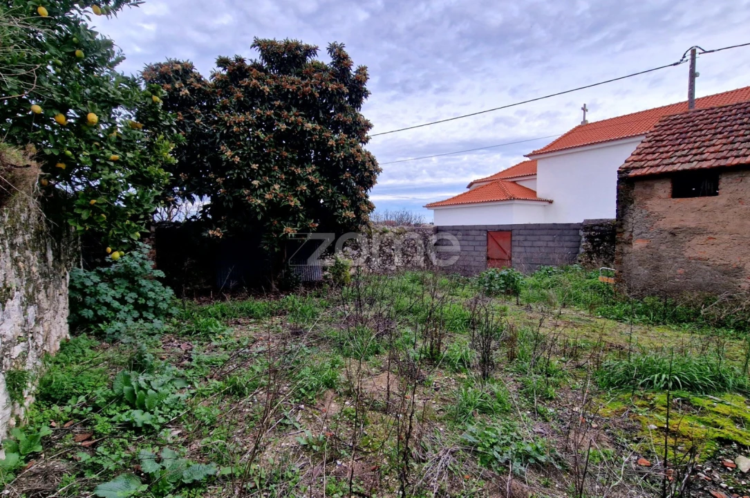 Moradia T4 para Venda em Torres Novas (São Pedro), Lapas e Ribeira Branca Foto 1