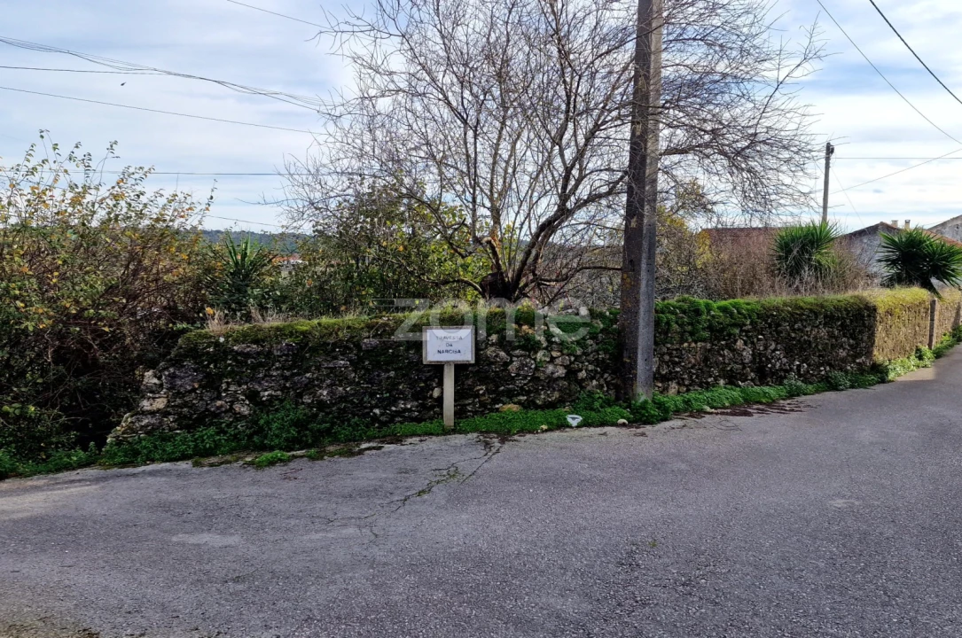 Terreno para Venda em Assentiz Foto 7