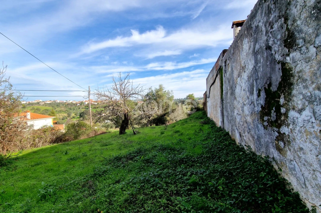 Terreno para Venda em Assentiz Foto 11