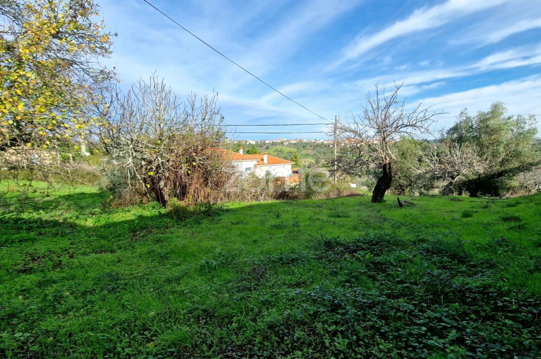 Terreno para Venda em Assentiz Foto 12