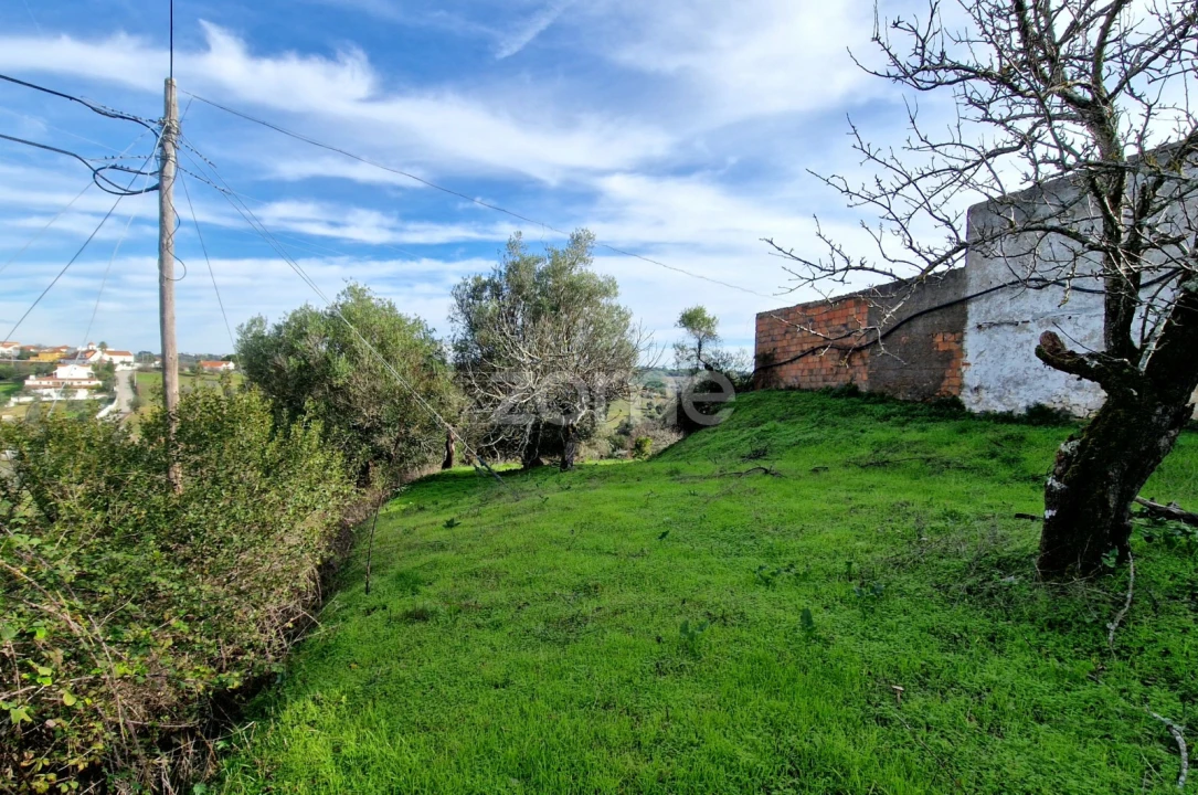 Terreno para Venda em Assentiz Foto 9