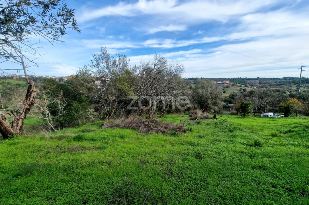Terreno para Venda em Assentiz Foto 14