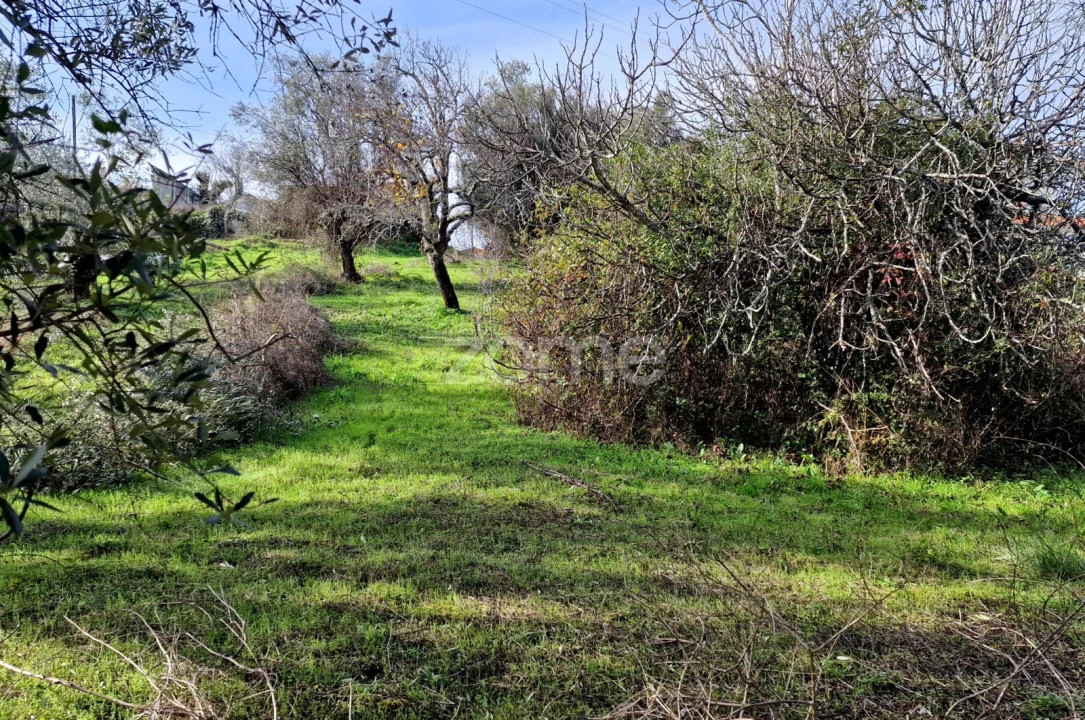 Terreno para Venda em Assentiz Foto 15