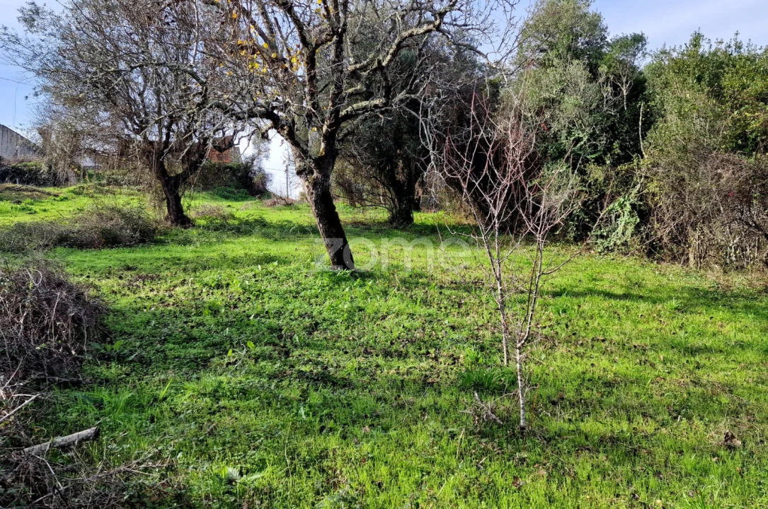 Terreno para Venda em Assentiz Foto 19