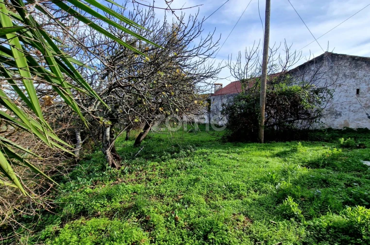 Terreno para Venda em Assentiz Foto 10