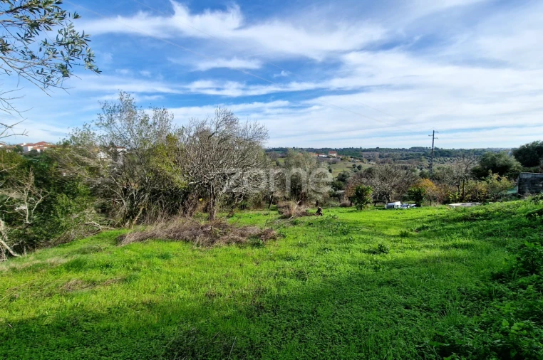 Terreno para Venda em Assentiz Foto 1