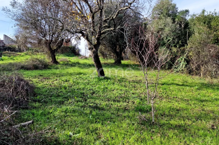 Terreno para Venda em Assentiz Foto 16