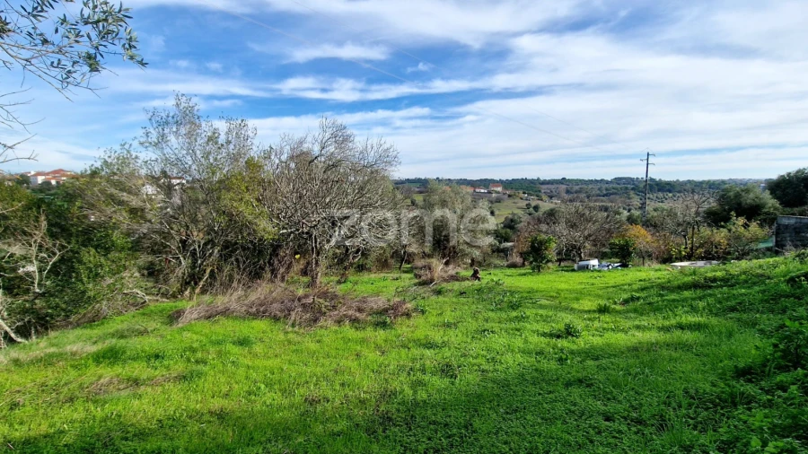 Terreno para Venda em Assentiz