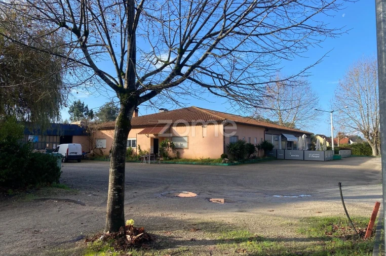 Terreno para Venda em Vagos e Santo António Foto 9