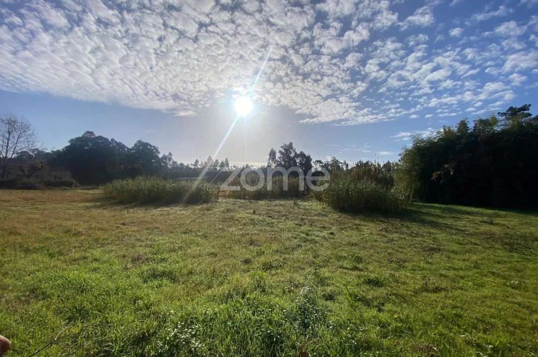 Terreno para Venda em Vagos e Santo António Foto 12