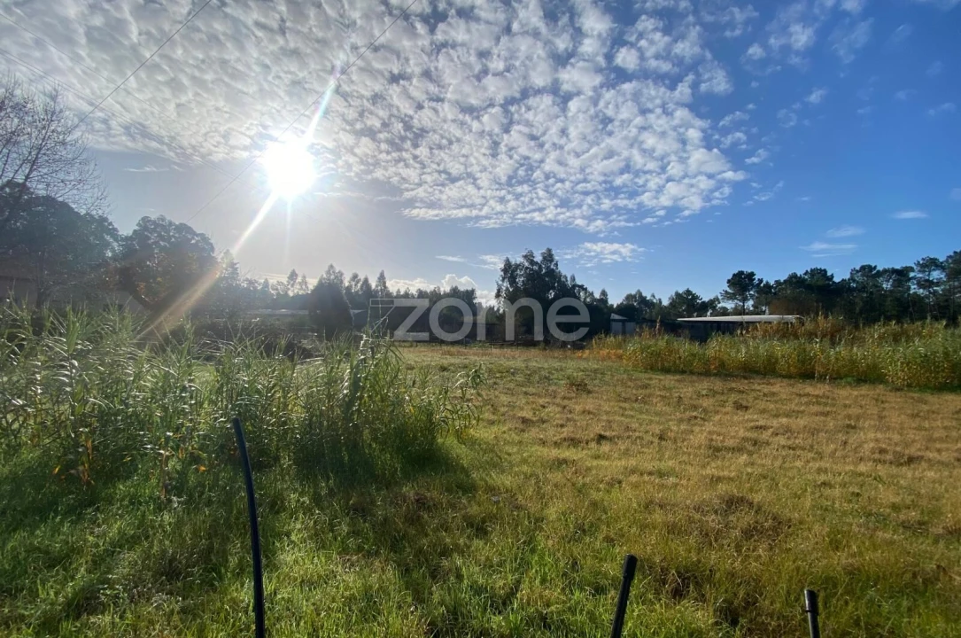 Terreno para Venda em Vagos e Santo António Foto 8