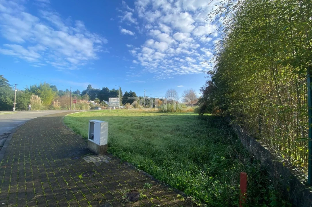Terreno para Venda em Vagos e Santo António Foto 9