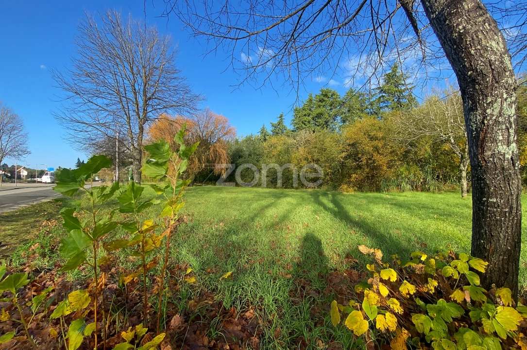 Terreno para Venda em Vagos e Santo António Foto 1
