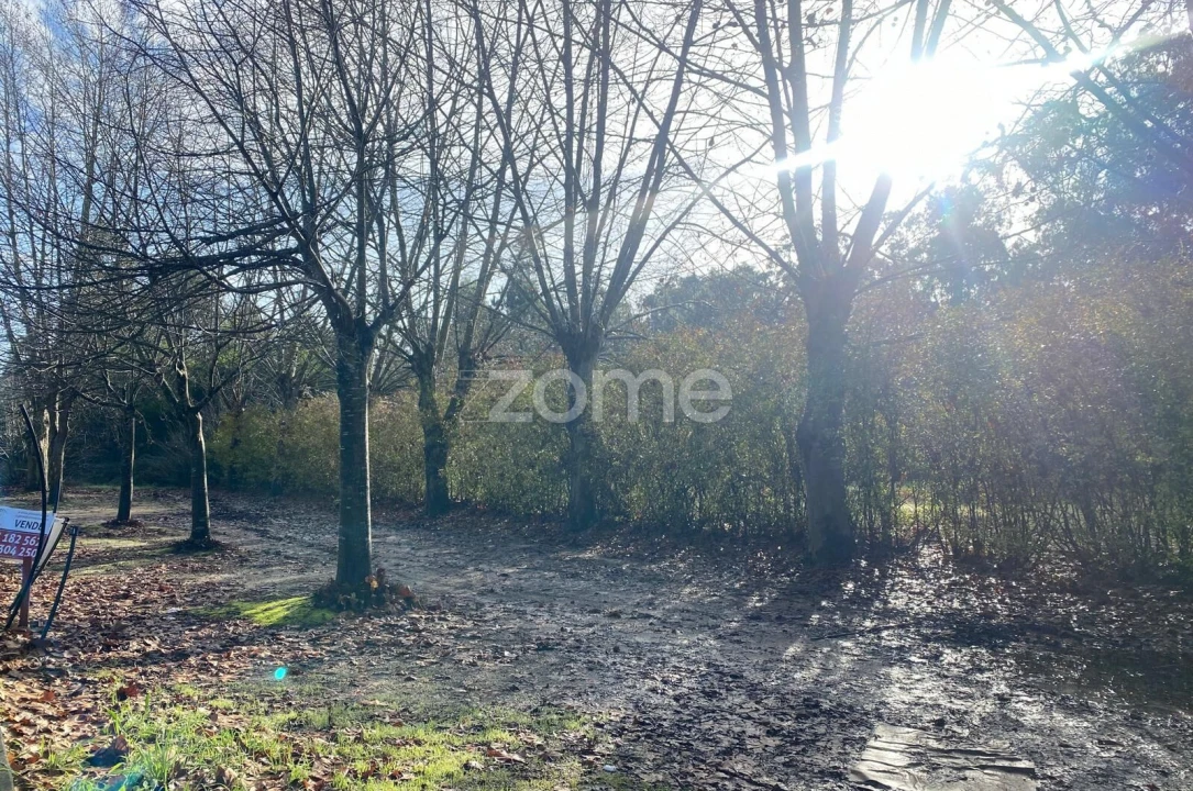 Terreno para Venda em Vagos e Santo António Foto 16