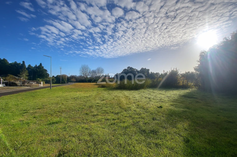 Terreno para Venda em Vagos e Santo António Foto 4