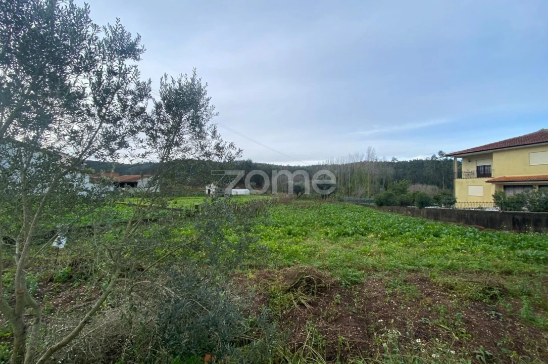 Terreno para Venda em Arcos e Mogofores Foto 5