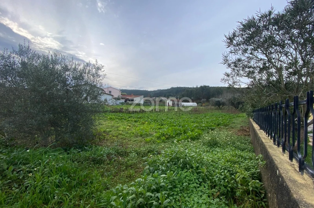 Terreno para Venda em Arcos e Mogofores Foto 6