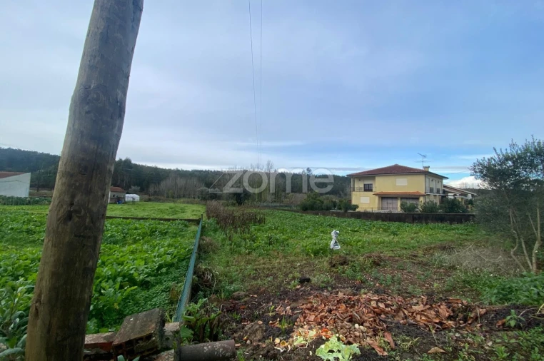 Terreno para Venda em Arcos e Mogofores Foto 8