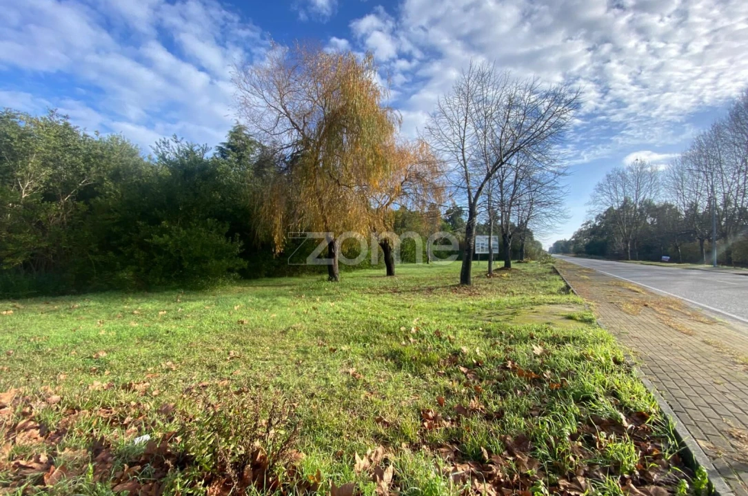 Terreno para Venda em Vagos e Santo António Foto 5