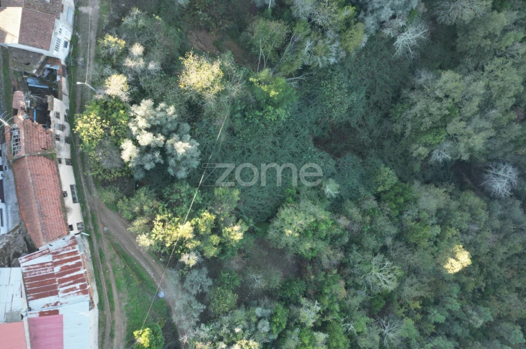 Moradia T4 para Venda em Arganil Foto 15